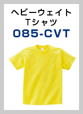 085-CVT