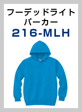 216-MLH